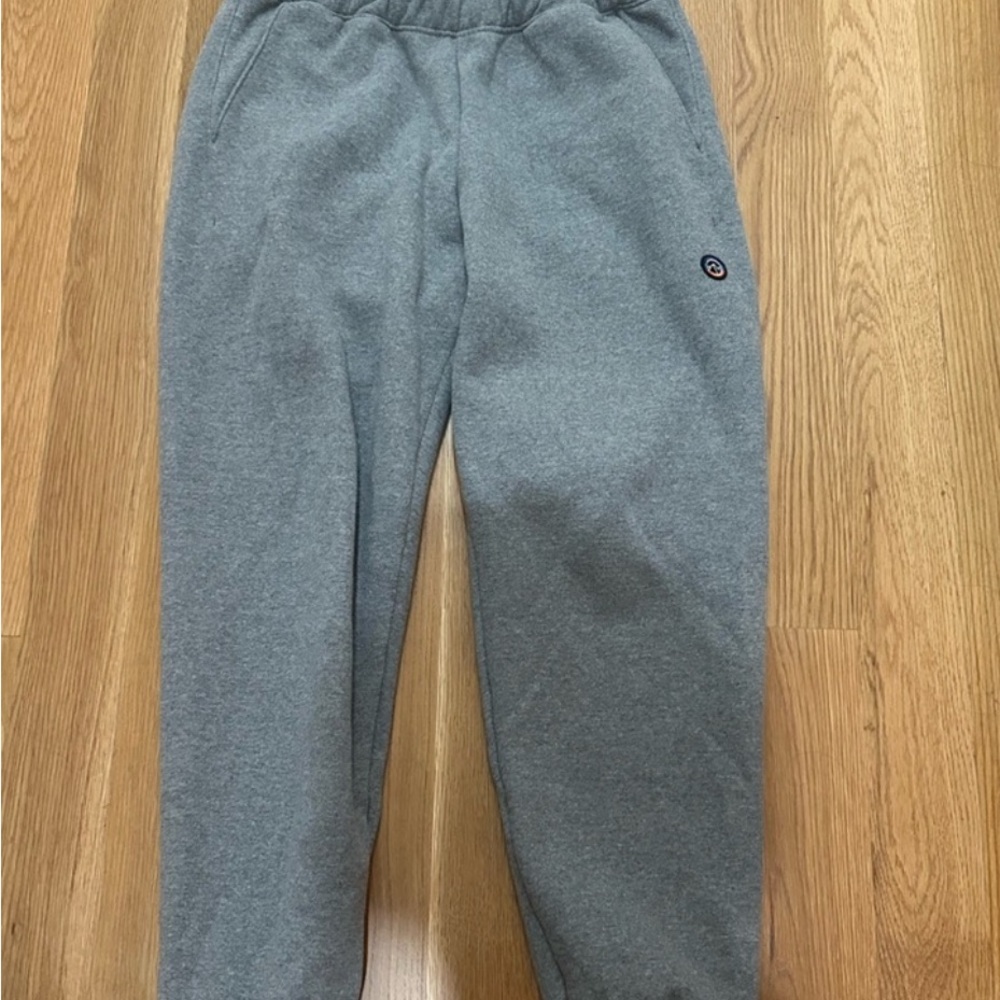 Patagonia Gray Sweatpants